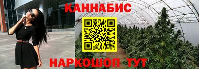 спайс Тара