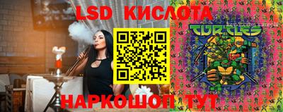 спайс Тара