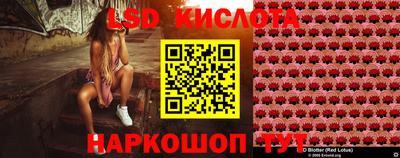 спайс Тара