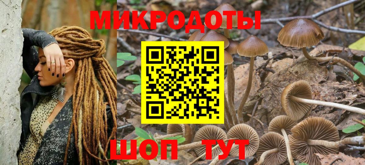 Прохладный  Галлюциногенные грибы Cubensis  Вход с VPN 