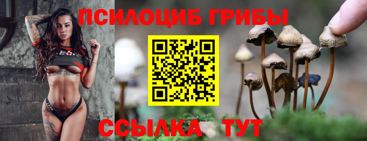 Псилоцибиновые грибы Psilocybine cubensis Прохладный